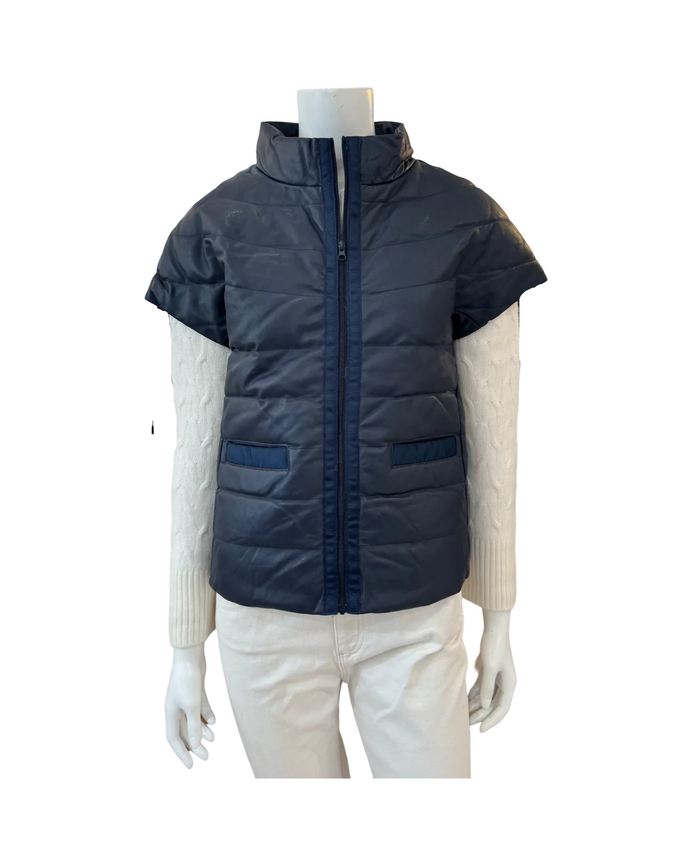 The Royal Palm Puffer