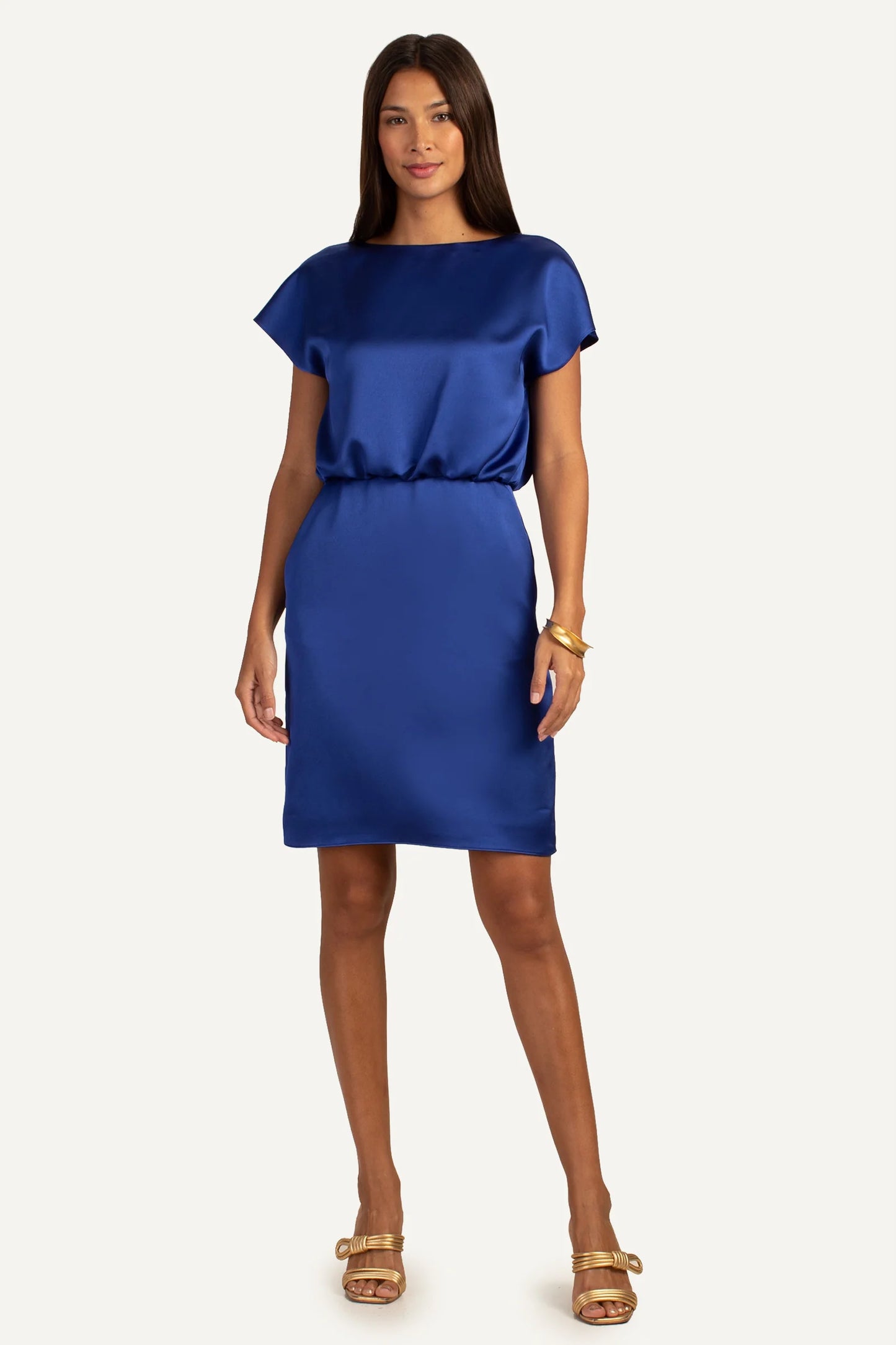 Amuse Dress