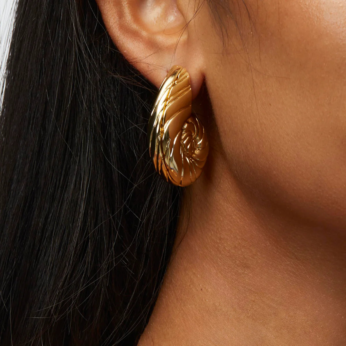 Gold Nautilus Earring
