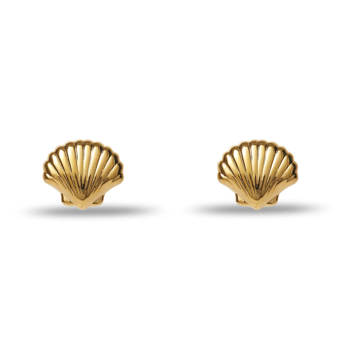 Coquille Stud