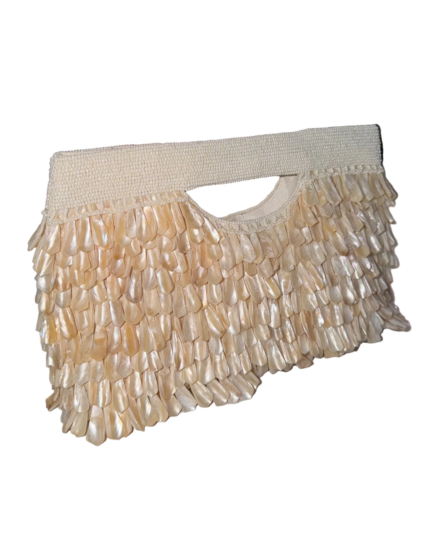 Handheld Purse w/ Shells