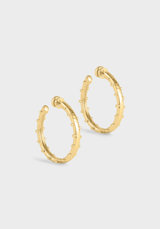 Milos Hoops