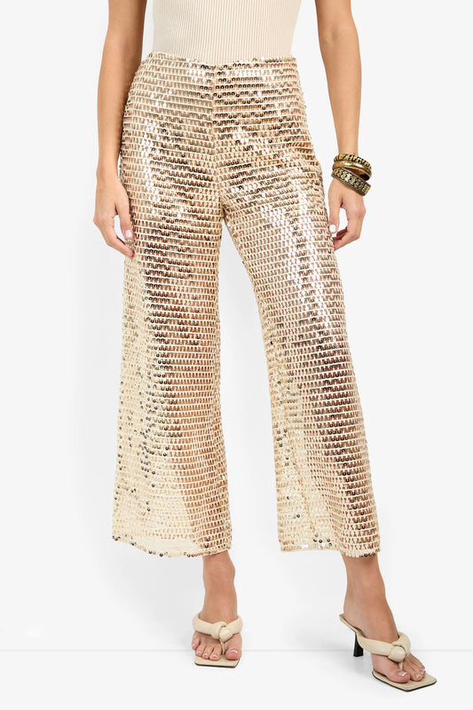 Dariya Pant