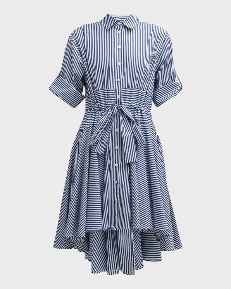 Meadow Shirt Dress