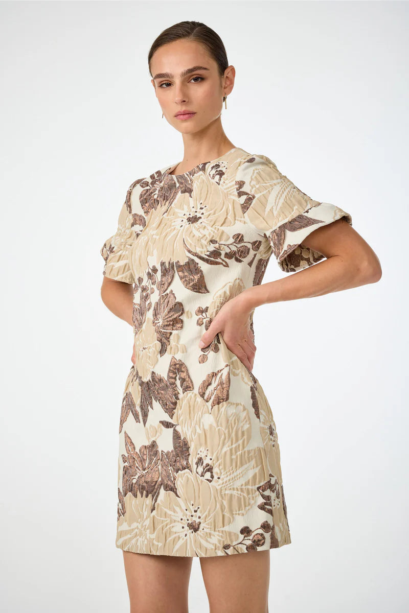Darling Dress