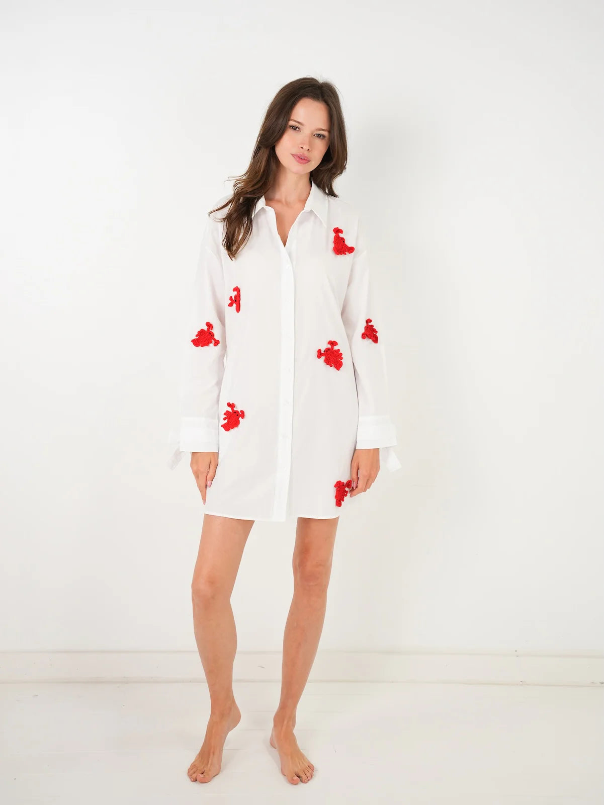 Lobster Roll Shirt Dress