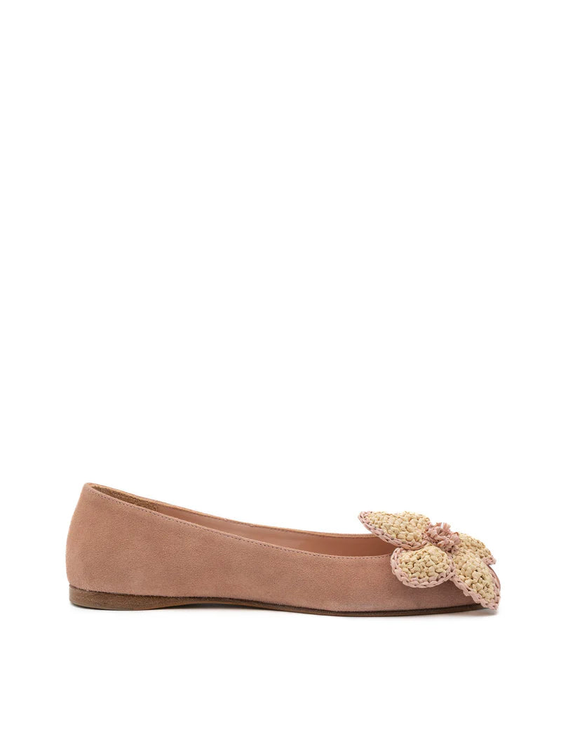 Quinn Suede Makeup Ballerina Flats