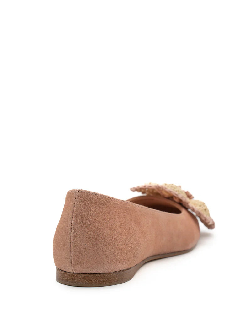 Quinn Suede Makeup Ballerina Flats